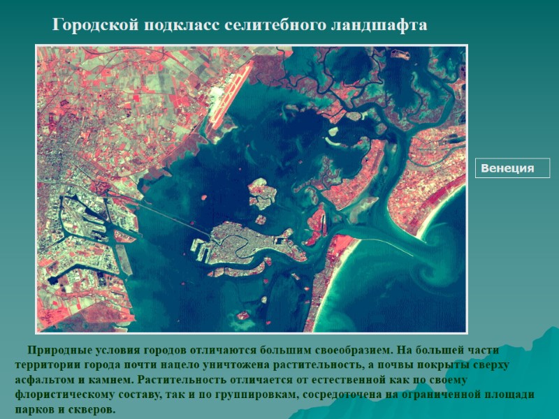 Городской подкласс селитебного ландшафта Венеция     Природные условия городов отличаются большим